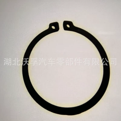 Ring 0730501589 0730 – Transmission gear and shaft