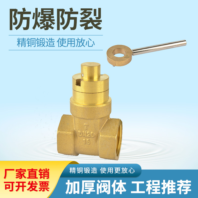 厂家直供 黄铜磁性锁闭闸阀4分加密6分防盗1寸表前阀DN15全铜DN32