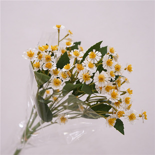 ins�L����С�r�շ��滨������ʾռٻ��[���Ҿ����������b[��