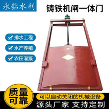 铸铁镶铜方闸门河道污水厂水库手动平板闸门渠道机闸一体式闸门