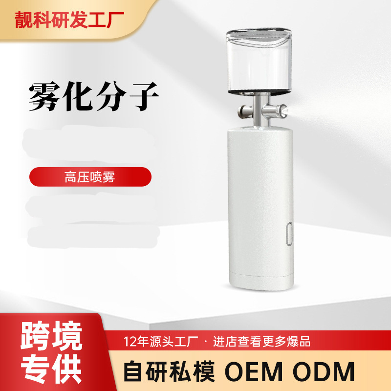 Portable Oxygen Injection Device, Spray Hydration Device, Handheld Oxygen Injection Device, High-Pressure Household Facial Device