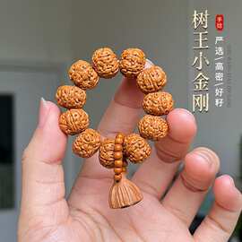 爆肉树王小金刚菩提手捻男女盘玩核桃原籽莲花手把件文玩佛珠念珠