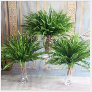 �Gɫ����ֲ��ɭ��ϵ���滨��˹�~����ާ�Y�b�ֲ���쾰��˹�~