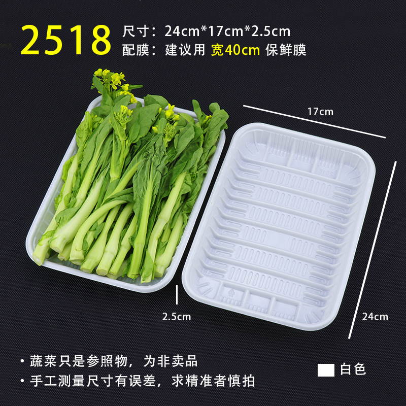 2518 White [100]