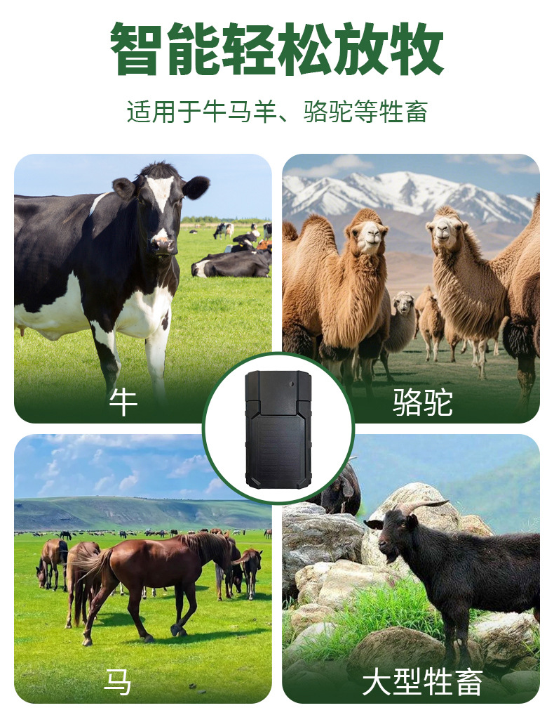 Mongolian Cattle and Sheep Tracker Waterproof Gps Tracker for Mountainous Areas with Solar Power, Popular for Cross-Border Use