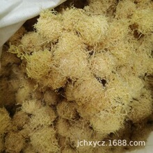 ������500g�a��؛Դ����z��؛��؛������ɢ�b���l�ĳ����r�aƷ