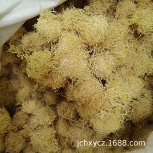 ������500g�a��؛Դ����z��؛��؛������ɢ�b���l�ĳ����r�aƷ