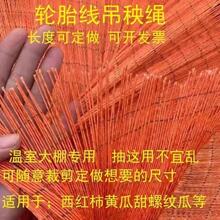 ݆̥�����K���K���Ͼ������߲˶����������t�������K�S�ϵ����K