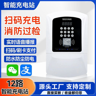 Electric Bicycle Charging Station 12-Port Battery Car Charging Station Customized for Outdoor Use Smart Charging Station