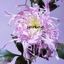 �߷��洺��ɫ3�^зצ�՟�����ᘾռҾ��b廨�zӰ