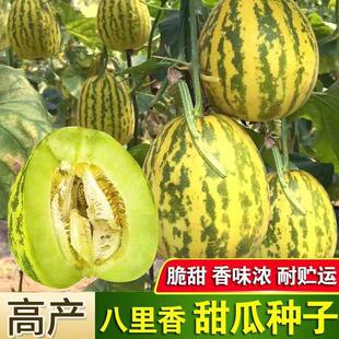 �ش��������ϷN�� ������ϷN�� ��ϷN�ݴ��ļ����߲�ˮ���Ϲ�