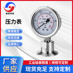 红旗YTNXC不锈钢耐震膜盒隔膜膜片电接点远传压力表生产生产厂家