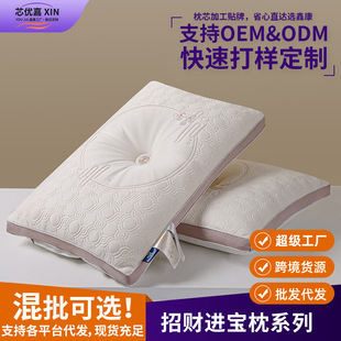 Customized Brain Nest Positioning Anti-Arch Traction Pillow Household Cervical Spine Pillow Core Adult Sleep Aid Neck Pillow Factory Direct Sale
