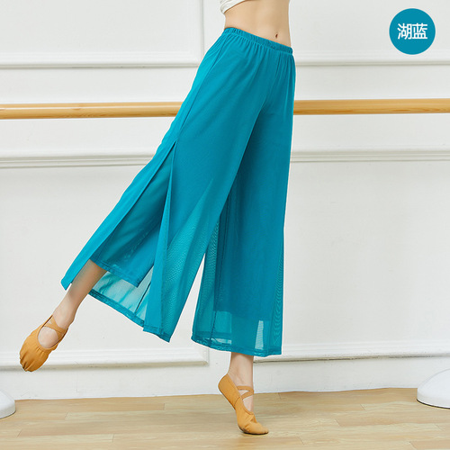 Classical dance practice pants for adult women with mesh body rhyme spring and summer new Chinese ancient style ethnic dance square elegant wide-leg pants