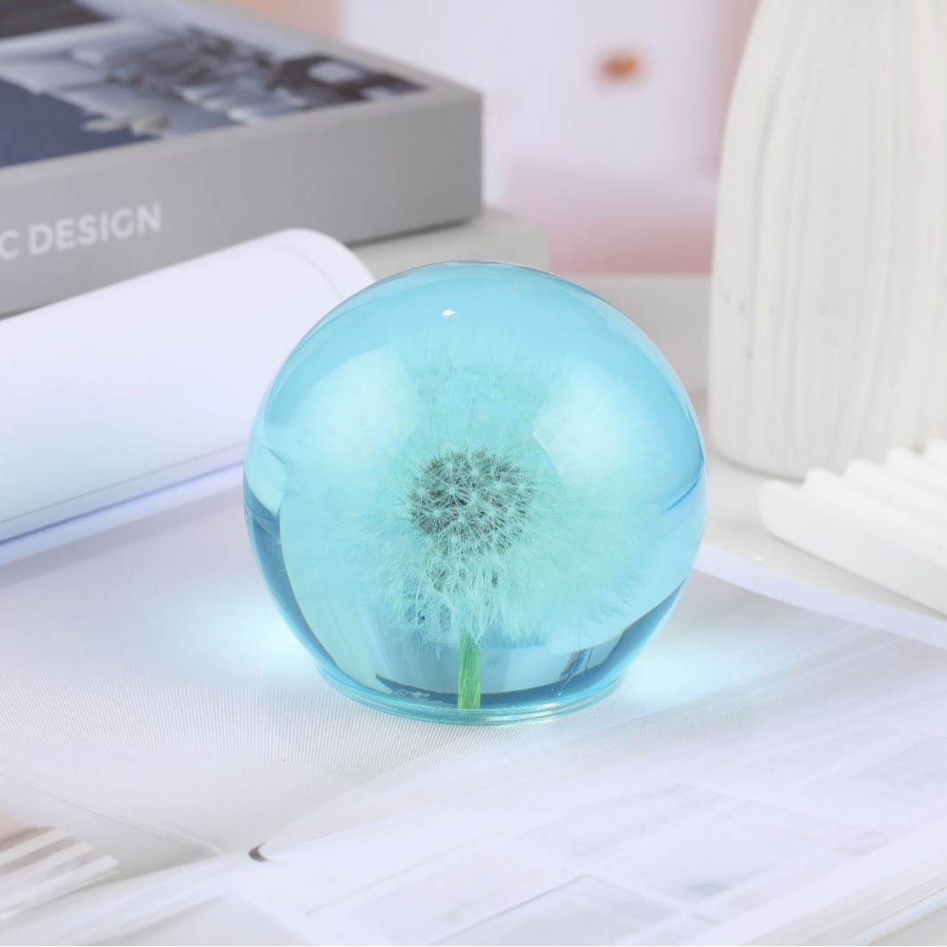 혼자 파란색 [민들레]