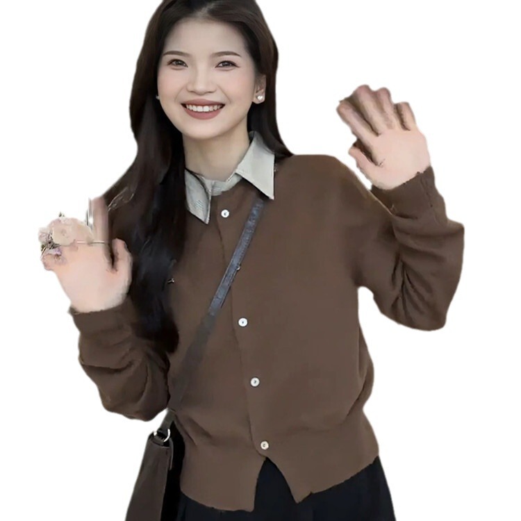 设计感气质翻领假两件毛衣针织衫女2025新款早秋长袖内搭打底上衣|undefined