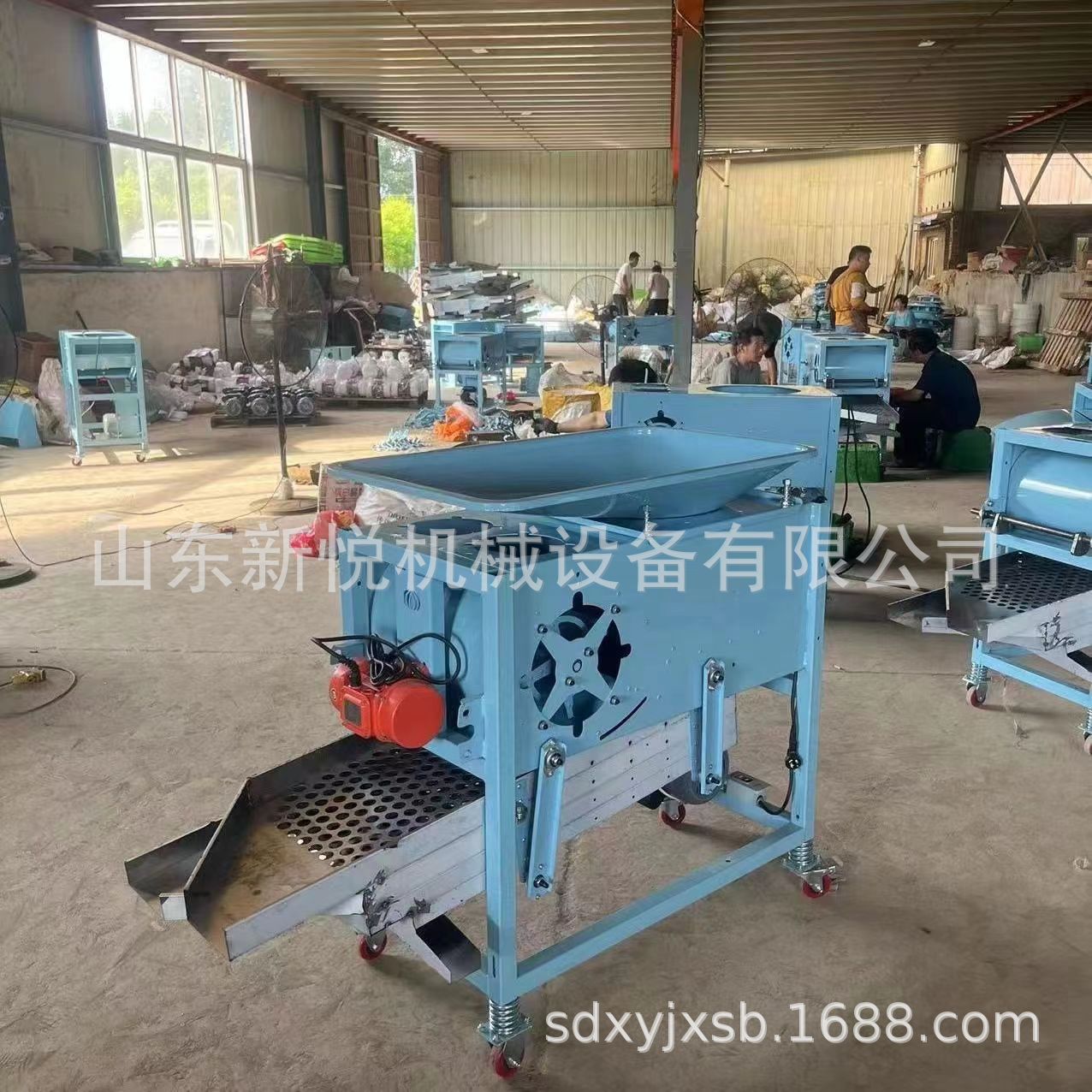 两相电大蒜分瓣机 蒜头分瓣机 家用电动掰蒜瓣机器厂家直销