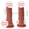 【16 Asia】Old Cannon