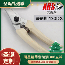 �ձ���֦������������@ˇ����˹������M�ڐ����z�@��ֱ�N