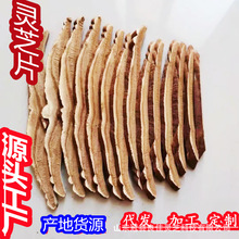 灵芝切片赤灵芝切片精选中心片产地批发直供一手货源