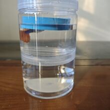 独立式鱼缸水族箱缸外繁殖罐隔离桶孵化罐孔雀鱼繁殖鱼苗孵化桶