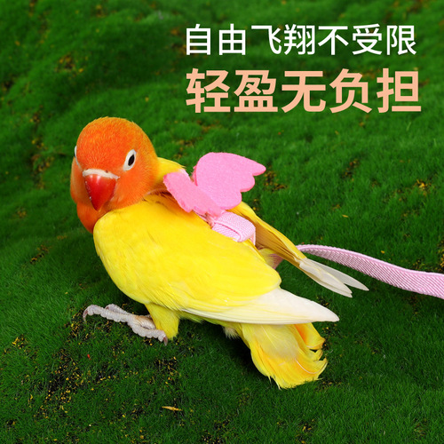Bird with Parrot Flying Rope, Zhen Feng Tiger Skin Peony Harness, Bird Walking Outfit, Outdoor Bird Walking Tool