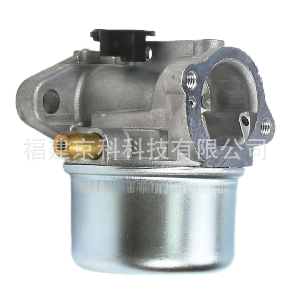 799868 Is Suitable for Briggs&Stratton 497586 498254 498170 497314 Carburetor