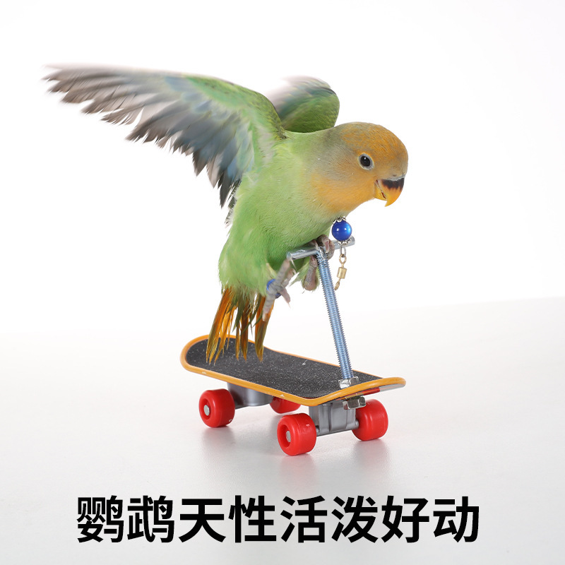 オウムのおもちゃ、鳥のおもちゃ、スクーター、退屈解消トレーニング小道具、知育コンパニオン、黒鳳牡丹専用用品|undefined