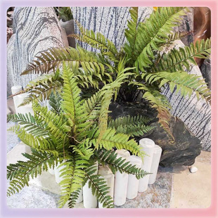 ✅ Green Plant Ornaments Fern Landscaping Plant Wall Decoration Bunch Fern Grass Artificial Plastic Grass Fake