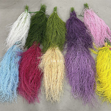 1.3�����z �������l��ɫ���z���L�ٗl���lǧ�z�f�|��횲ݻ�c�b�