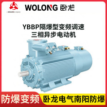 输送机提升机用YBBP-280S-4 75kW WOLONG卧龙CNE南阳防爆变频电机