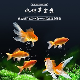 �ݽ��~���~С�͵�ˮ�ͻ���ˮ�~�\���~���^�p�~�J��С���~�t�ݽ�