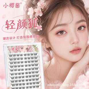 2026�¿�ٽ�ëС���u�p��ٽ�ë��Ȼ��ϵ�ٽ�ëԴ�^�S�����l