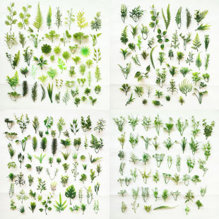 ✅ Handmade Bouquet Plastic Water Grass Flower Cake Green Plant Decoration Plate Leaves Fake Grass Green Leaf Wine