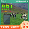 牛羊追踪神器4G卫星订位仪山区放牧大型动物骆驼马牛羊gps定位器