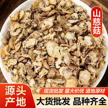 ɽ�ȹ� ������ë�ȹ���ȹ���ș��ɽ�ȹ� ���]��ĥ������ă�