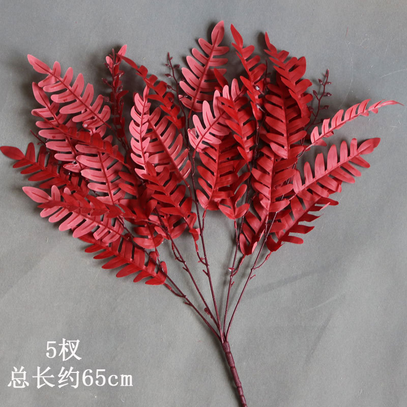 붉은 메뚜기나무 잎 한 가지