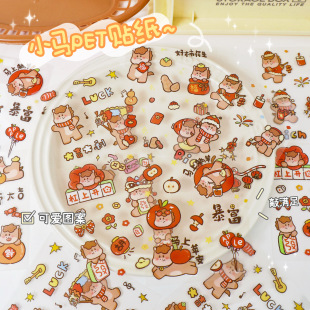 ����С�R�N���ɐ�͸��PET�N���R���ˮ�N��DIY���~�N���֙Cˮ���N