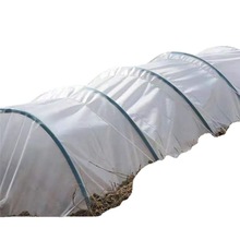 r÷Nֲɫ͸ϱĤСﱣ߲˴ĤĤĤӺ