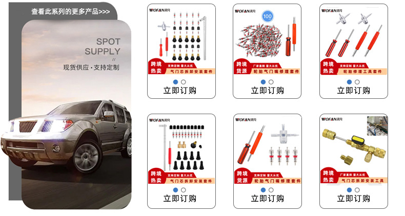 Tire valve core removal installation tool double single head valve core remover tire repair tool suit