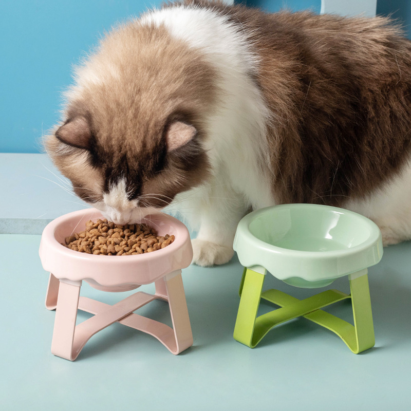 PE Pet Bowl Ceramic Pet Cat Bowl Report Cervical Spine Protection Black Chin Protection Cat Food Plate Drinking Plate Small Dog Bowl PE Pet Bowl Ceramic Pet Cat Bowl Report Cervical Spine Protection Black Chin Protection Cat Food Plate Drinking Plate Small Dog Bowl