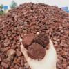 Manufactor Volcanic rock Landscaping Volcanic rock filter Volcanic rock fish tank Volcanic rock plant Volcanic rock