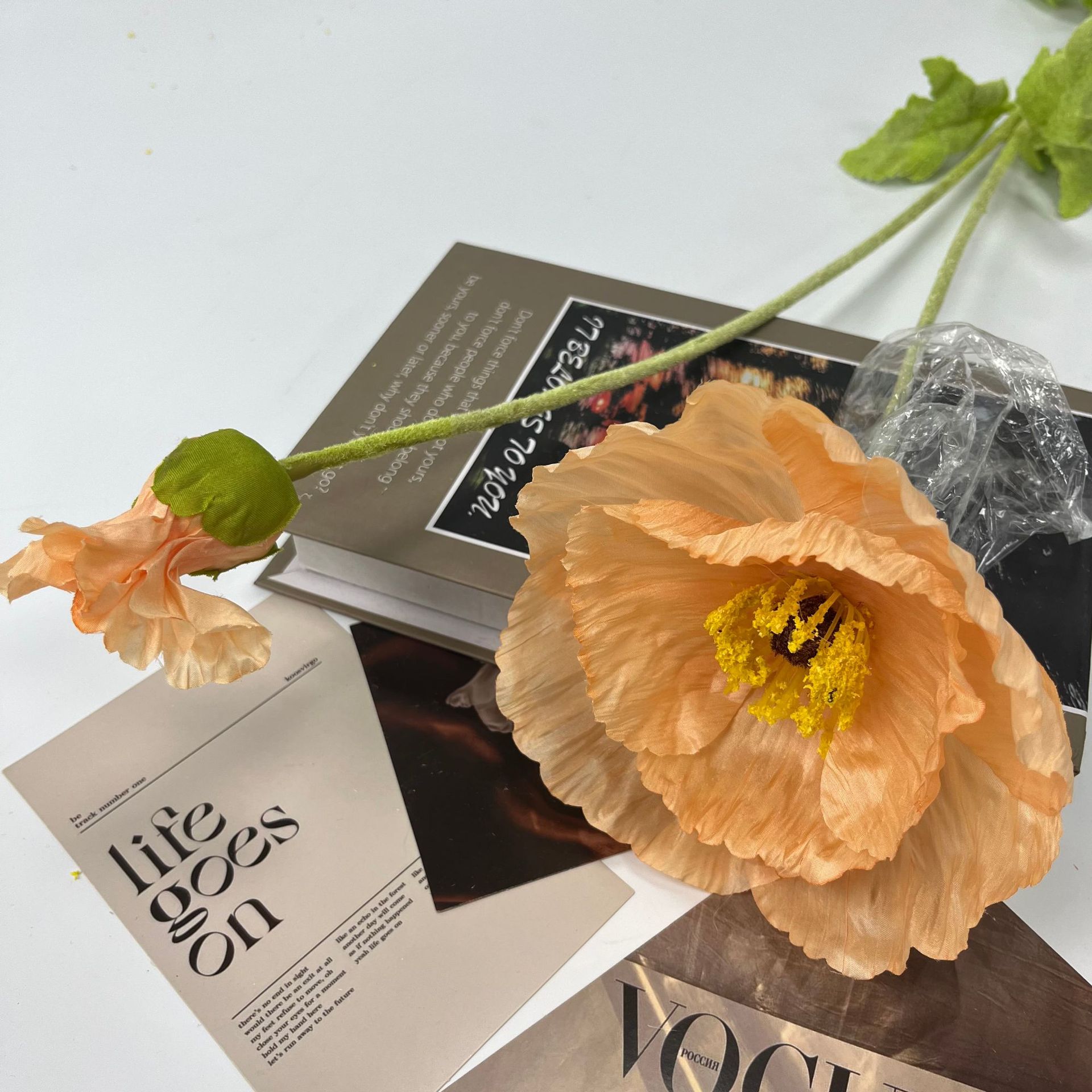 대형 포피 샴페인