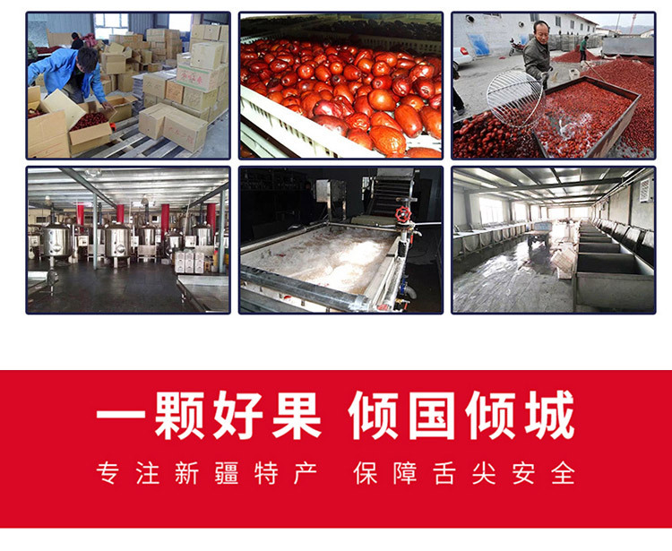 希瑞套版-恢复的_09