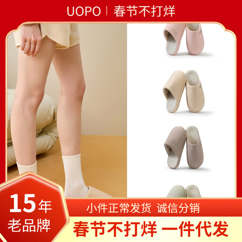 艾草抗菌棉拖鞋秋冬季室内居家情侣简约舒适透气加厚保暖棉拖男女