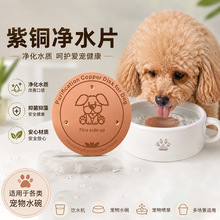 跨境新品Purification Copper Disk 宠物抑菌净水铜片紫铜质圆盘