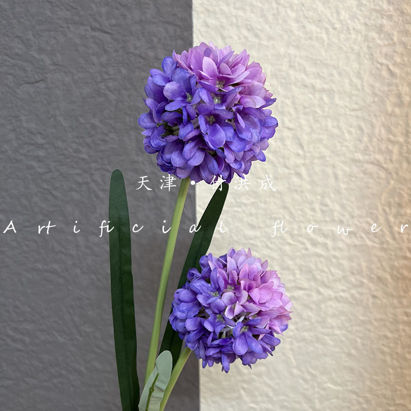 양파볼 2개 - 진한 보라색