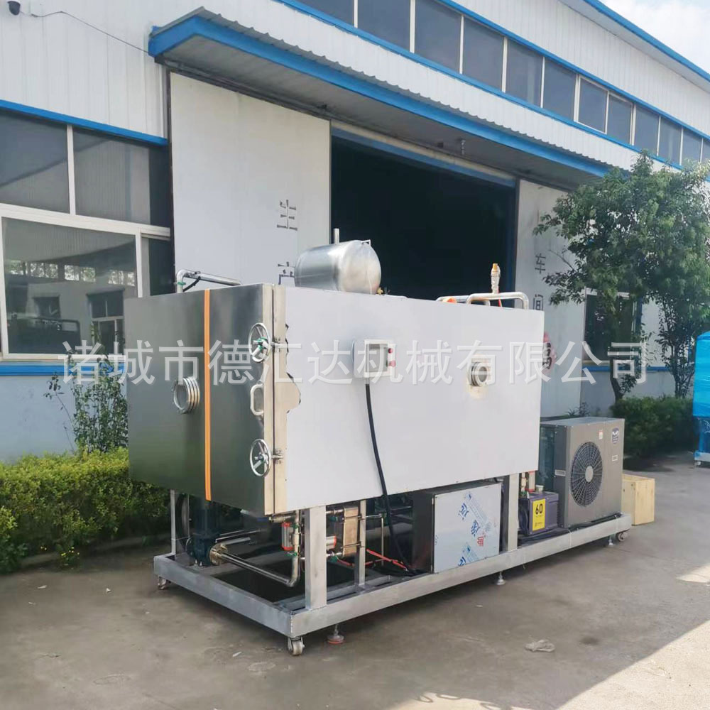 羊肚菌冻干机 松茸真空冻干  蘑菇冻干  食用菌冻干设备