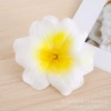 【White yellow】