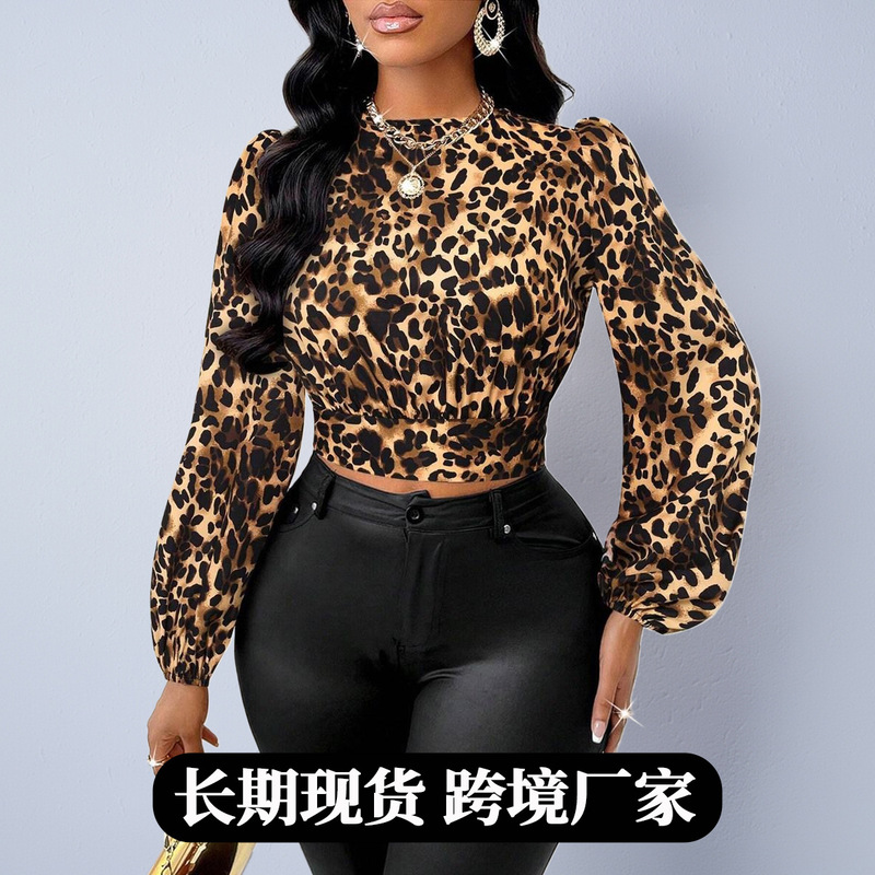 Foreign Trade Aliexpress Women's Satin Shirt 2025 Autumn and Winter New Satin Imitation Silk Sexy Leopard Print Shirt Wholesale